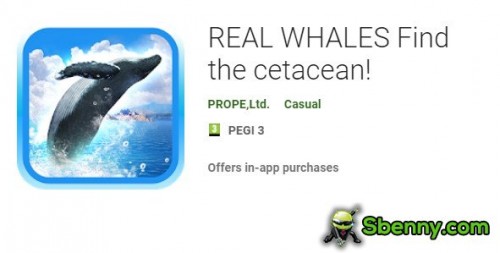 REAL WHALES Find the cetacean!