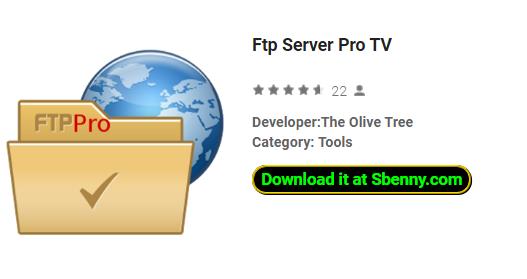 ftp  server  pro tv