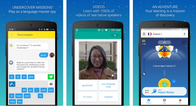 memrise learn new languages grammar and vocabulary MOD APK Android