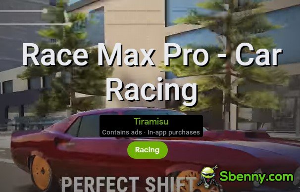 race max pro car racing