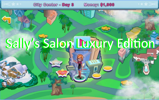 sally s salon luxury edition